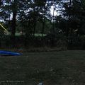 Fireflies 7-1-2012 8-07-10 PM