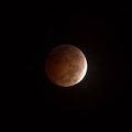 2014Oct08 LunarEclipse-0249