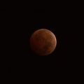 2014Oct08 LunarEclipse-0259