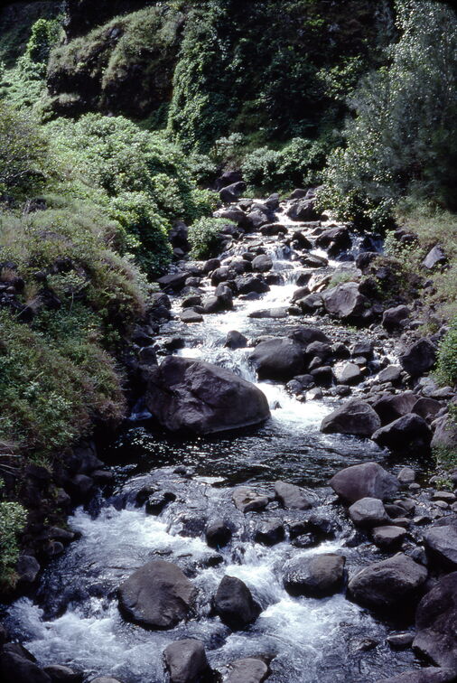 1977 Hawaii stream in Iao Valley-fixed.jpg
