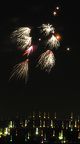 FireworksJul4 2014-9783
