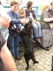20090725 Ireland - Drumshanbo dancing dog