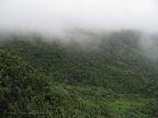 Rainforest Mist 2