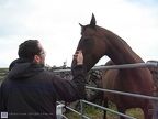 20090726 Ireland - Inismor Dun Aenghus horse