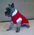 Santa sweater 2008 - 1