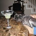 Chip with a margarita.JPG