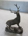 stag in iron