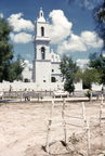 a mission or cathedral with a newly planted tree 1955