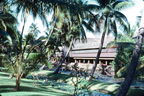 1977 Hawaii 006 Coco Palms