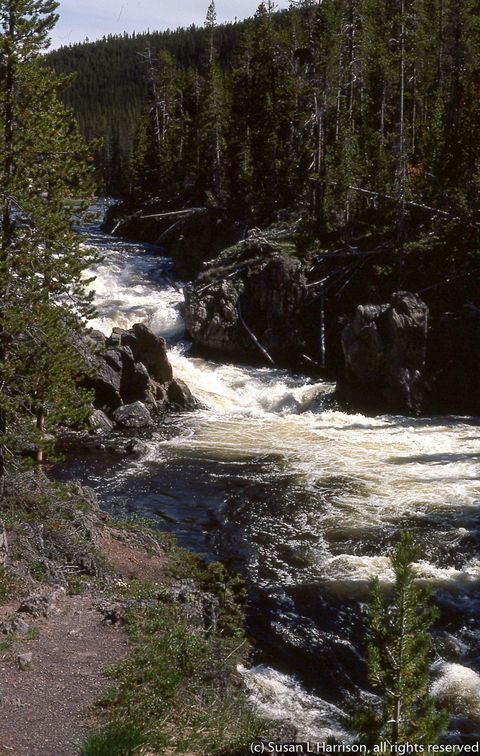 1975 Yellowstone river
