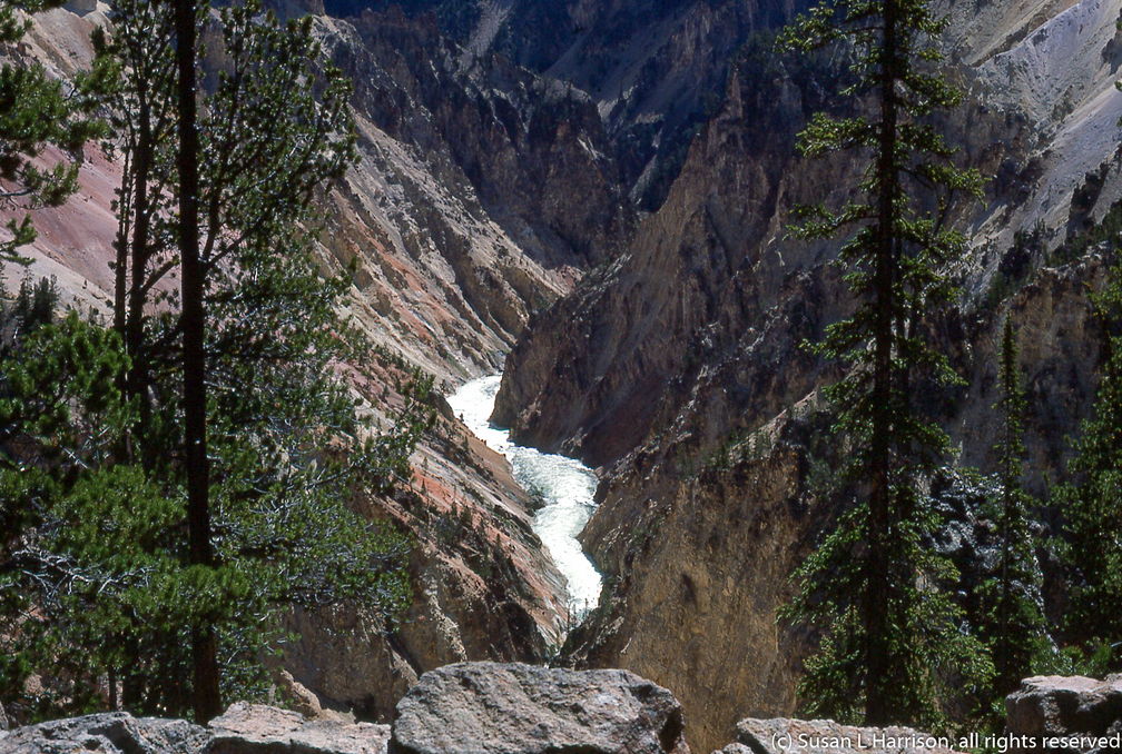 1975 Yellowstone 039-fixed.jpg