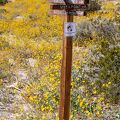 024-Coachella Nature Preserve-IMG 8928