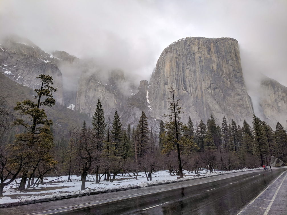 034-Yosemite-20190303 Yosemite (33)