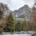 047-Yosemite-20190303 Yosemite (66)