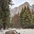 052-Yosemite-20190303 Yosemite (80).jpg