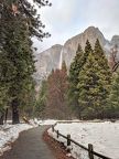 052-Yosemite-20190303 Yosemite (80)