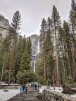 091-Yosemite-20190304 Yosemite (58)
