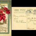 Christmas Greeting poinsettias to Jack Sr and Jessie from Gus and Emma 1912