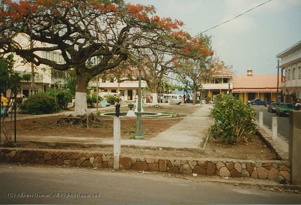 Soufriere and a flamboyant tree